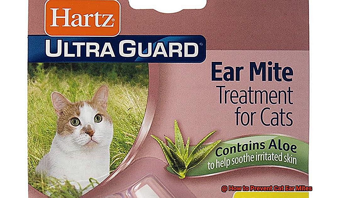 How to Prevent Cat Ear Mites-4