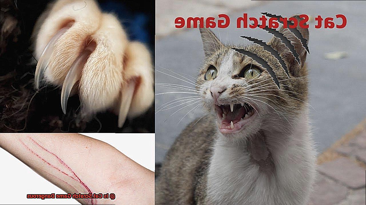 Is Cat Scratch Game Dangerous-5