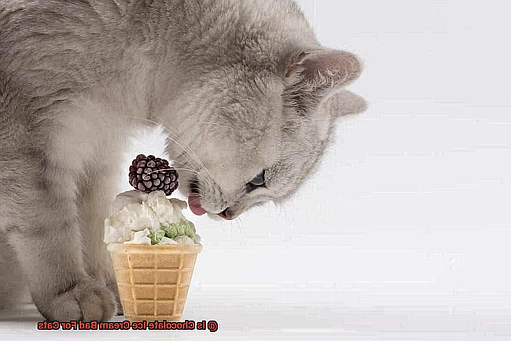 Is Chocolate Ice Cream Bad For Cats-2