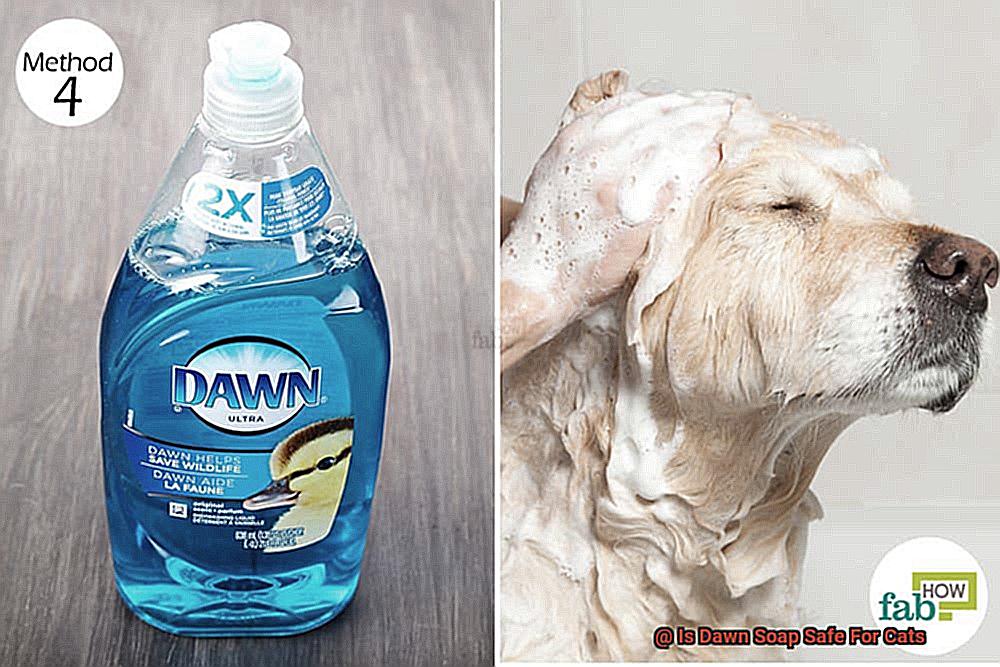 Is Dawn Soap Safe For Cats-2