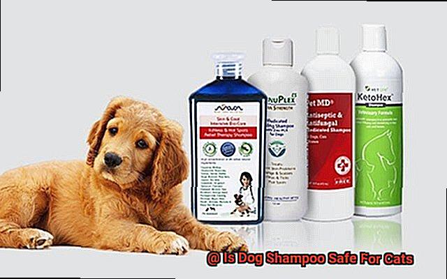 Is Dog Shampoo Safe For Cats-3