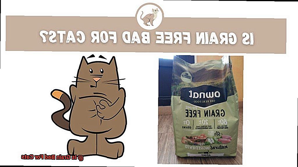 Is Grain Bad For Cats-2