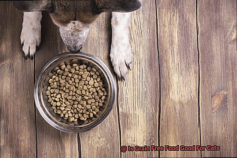 Is Grain Free Food Good For Cats-2