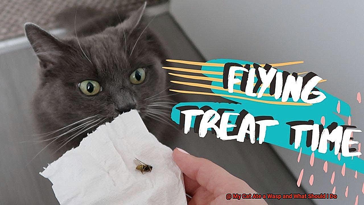 My Cat Ate a Wasp and What Should I Do-5