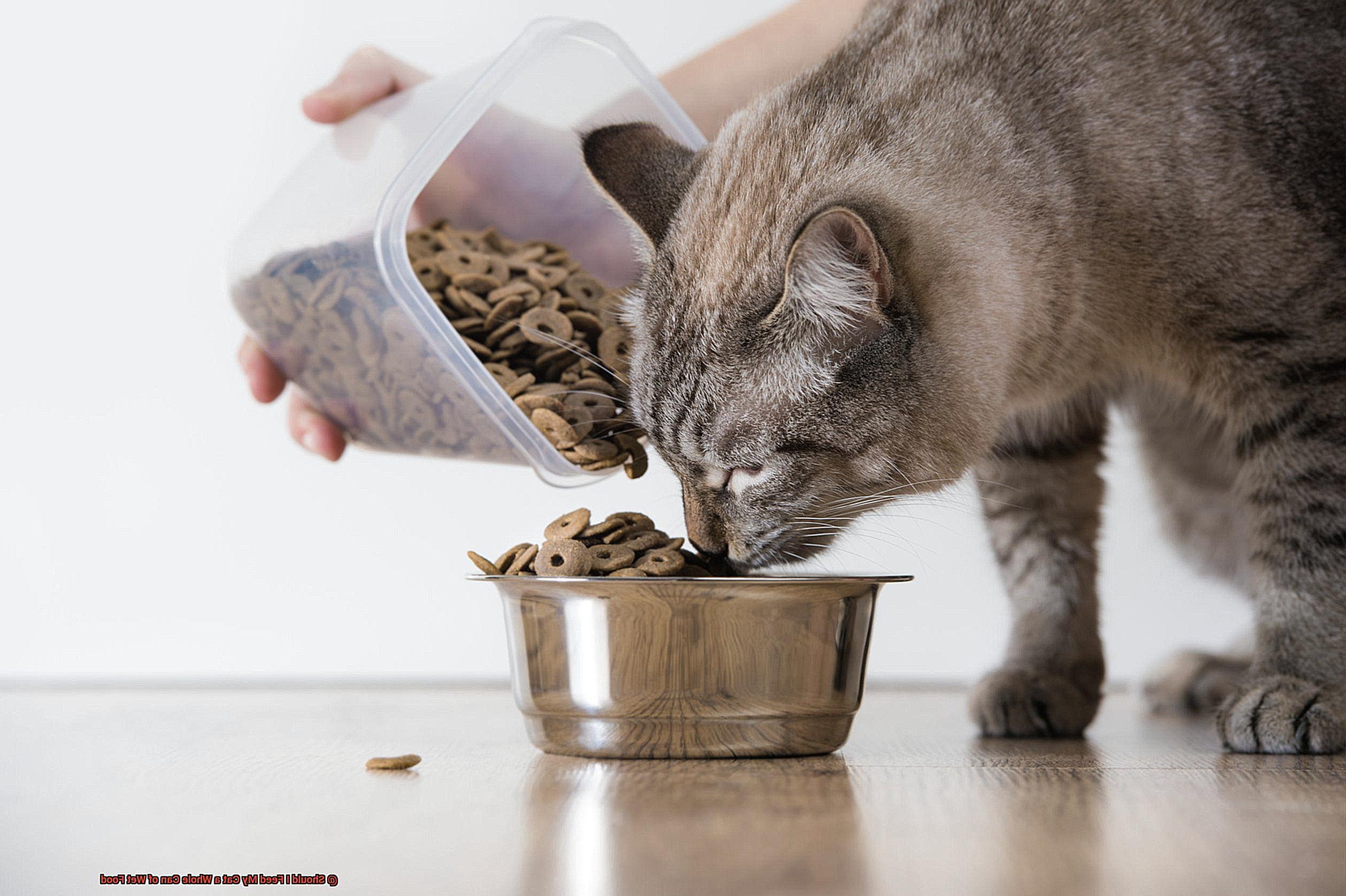 Should I Feed My Cat a Whole Can of Wet Food-4