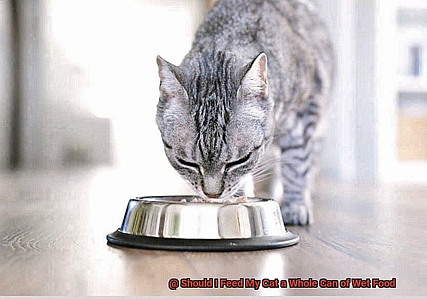 Should I Feed My Cat a Whole Can of Wet Food-2