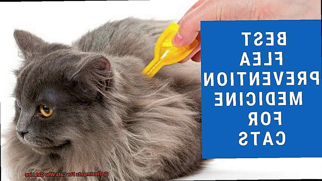 Treatments For Cats Who Get Lice-7