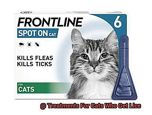 Treatments For Cats Who Get Lice-4