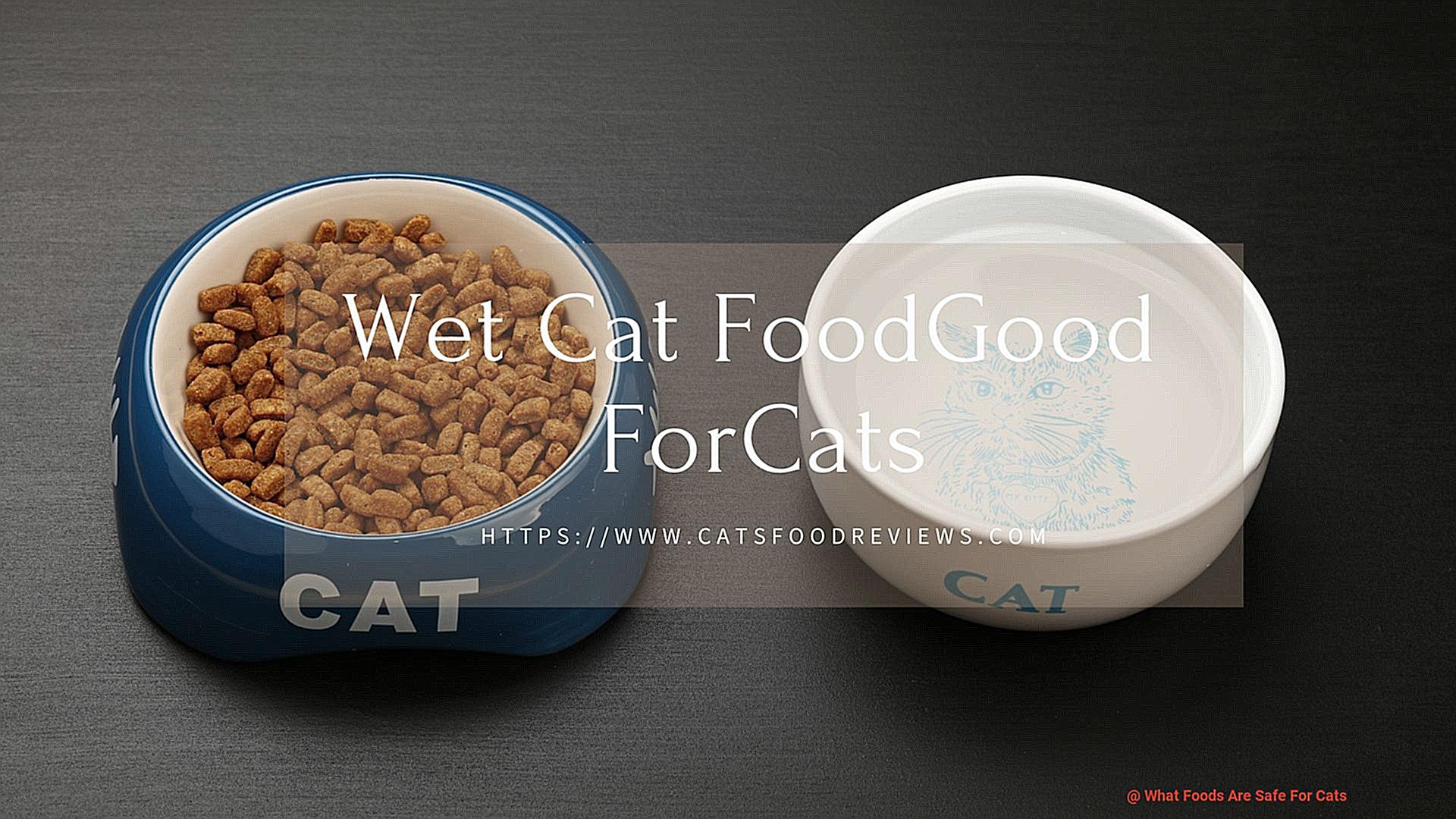 What Foods Are Safe For Cats-2