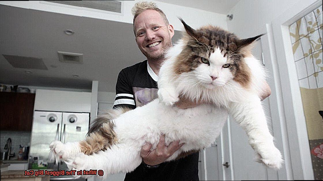 What Is The Biggest Big Cat 4378104977