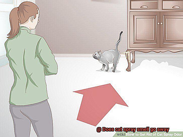Does cat spray smell go away?