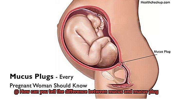 How can you tell the difference between mucus and mucus plug-2