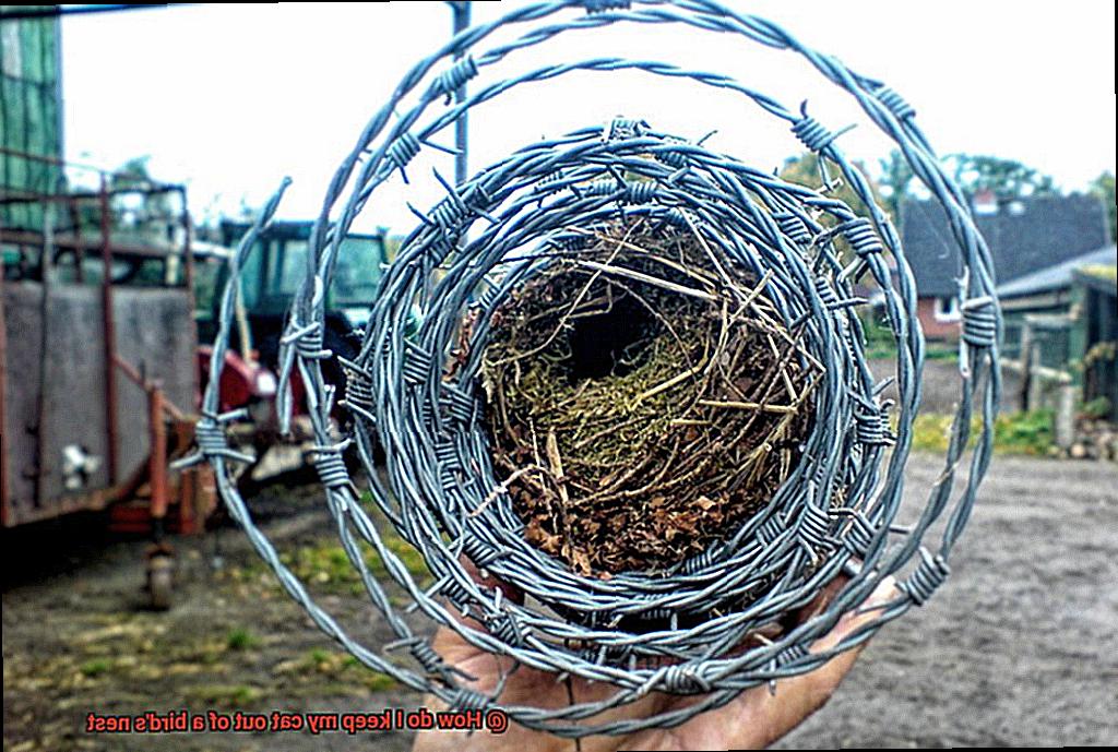 How do I keep my cat out of a bird's nest-7