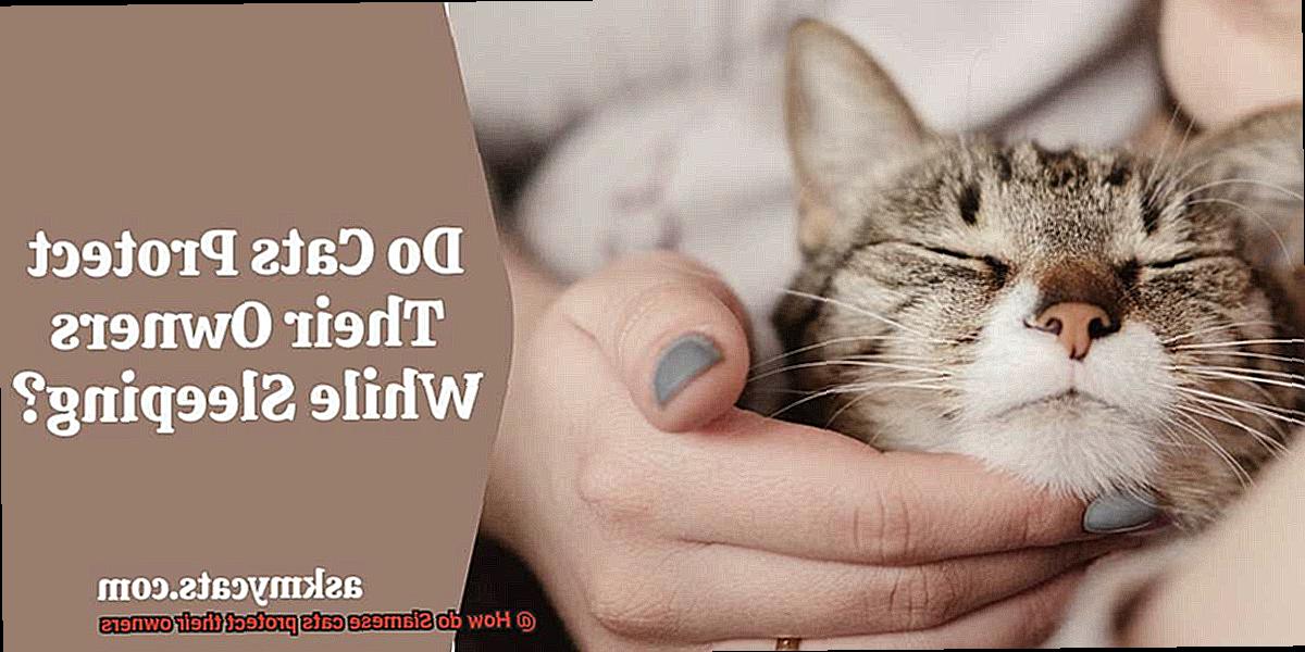 How do Siamese cats protect their owners?