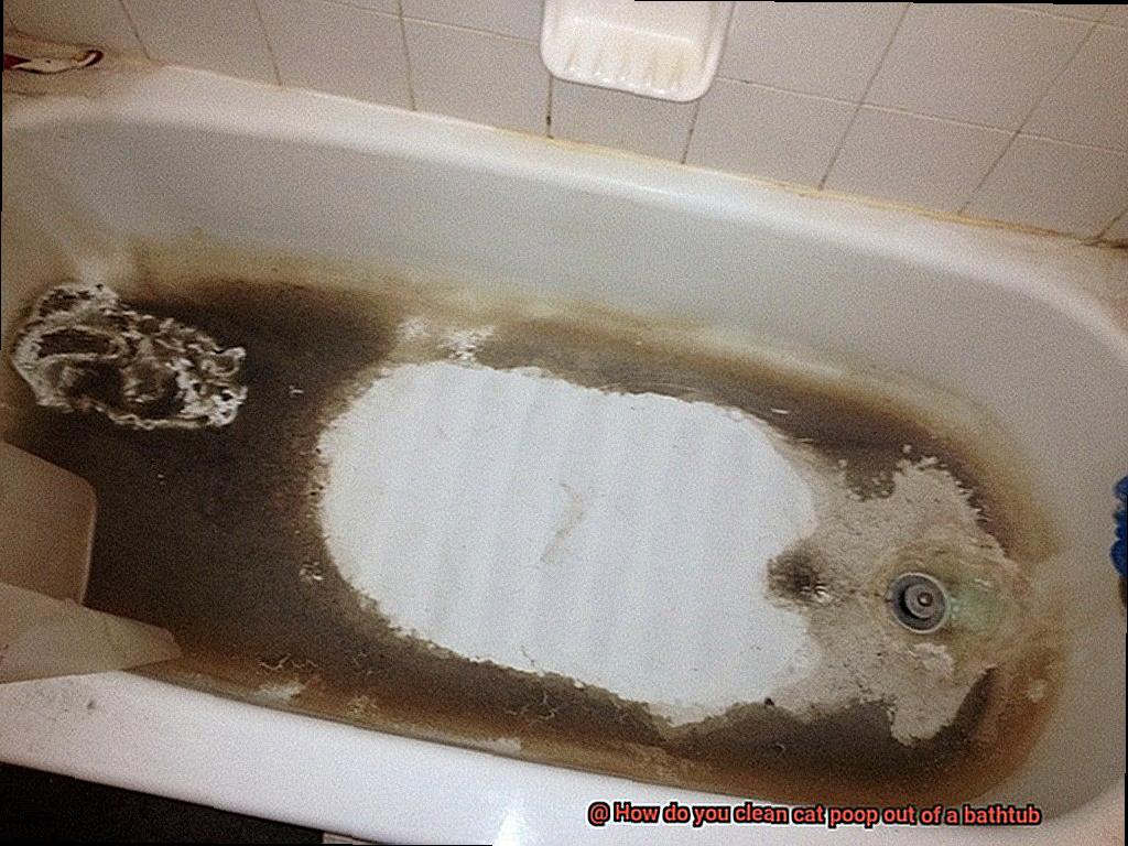 How do you clean cat poop out of a bathtub?