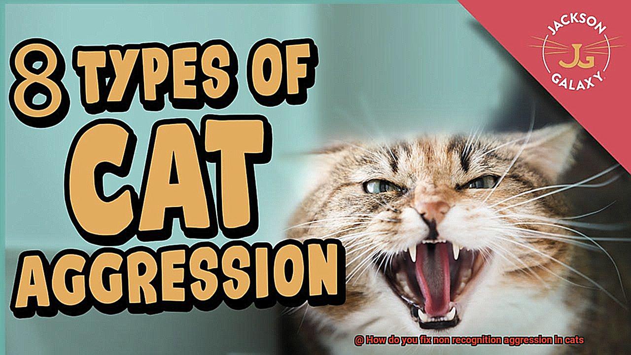 How do you fix non recognition aggression in cats-3
