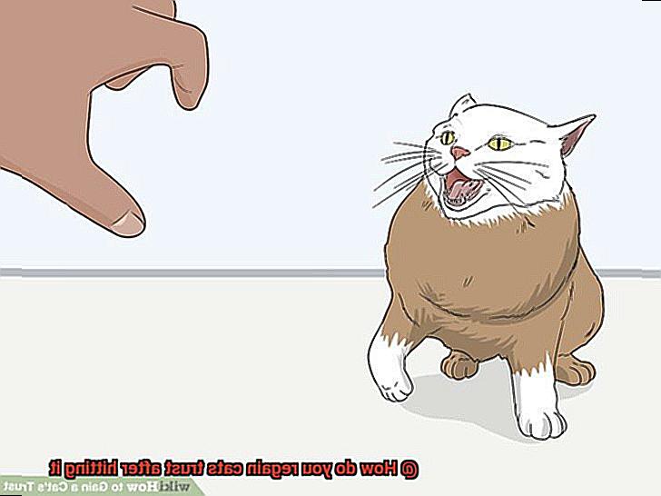 How do you regain cats trust after hitting it-5