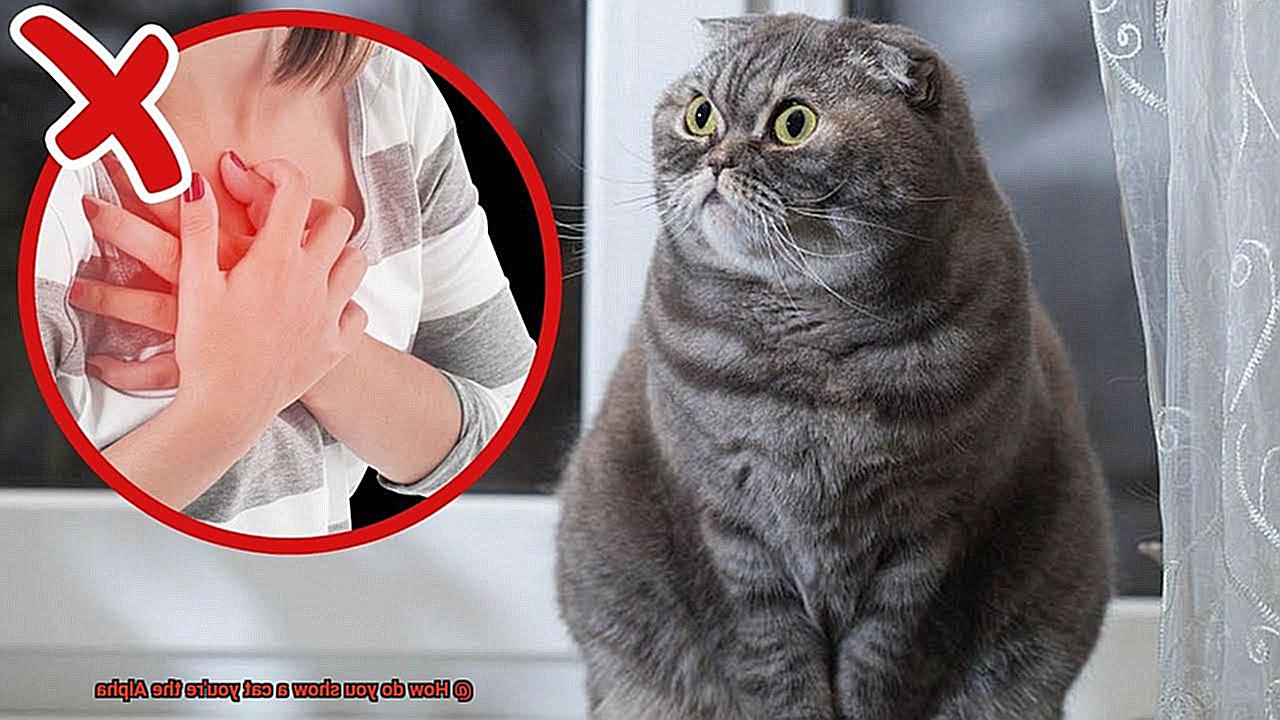 How do you show a cat you're the Alpha-3