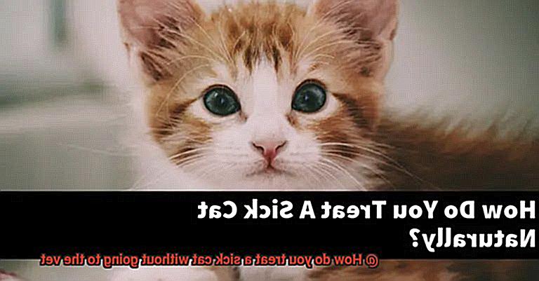 How do you treat a sick cat without going to the vet-5