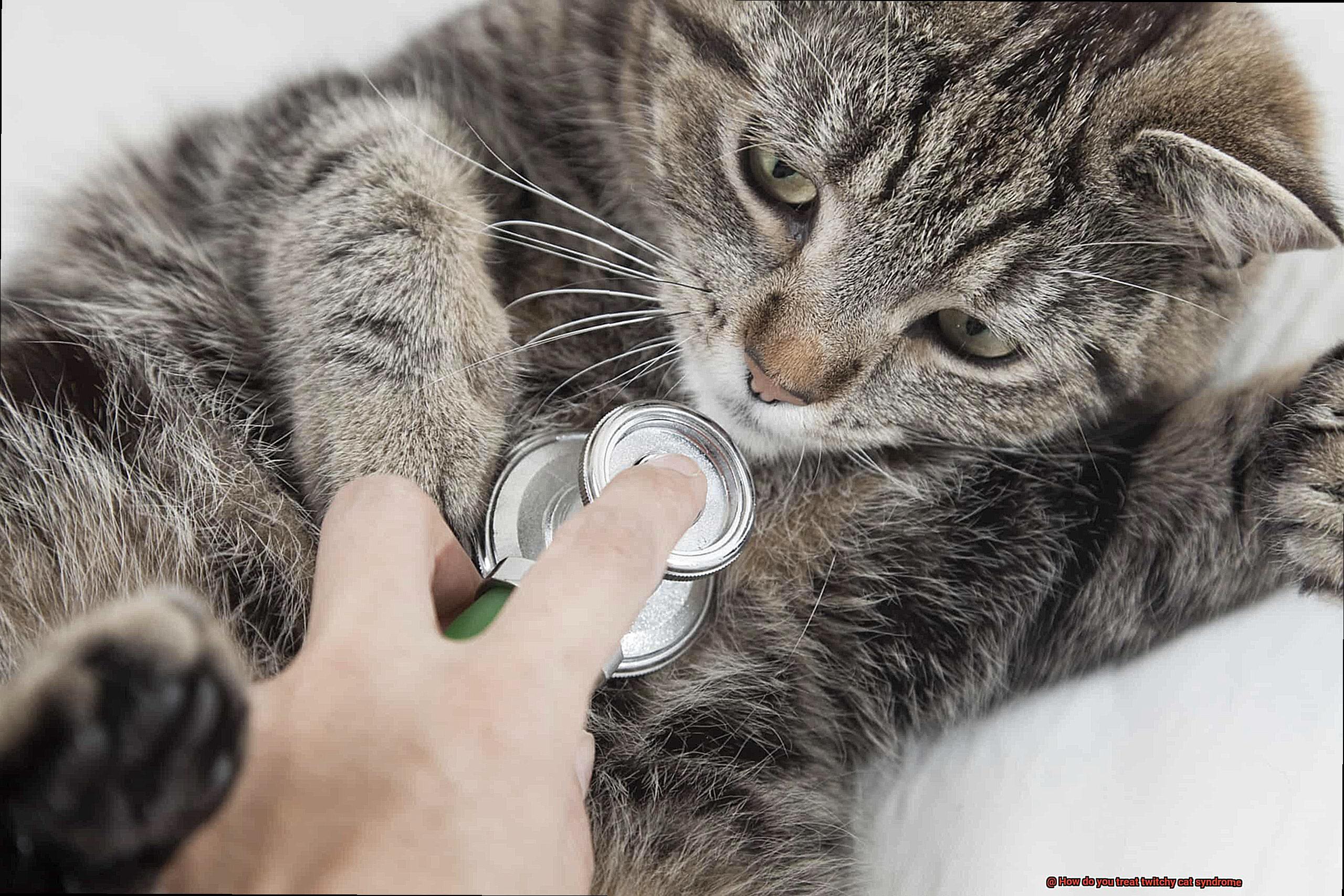 How do you treat twitchy cat syndrome-3
