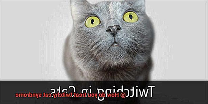 How do you treat twitchy cat syndrome-2