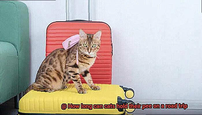 How long can cats hold their pee on a road trip-2