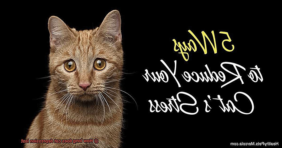 How long does cat depression last-4