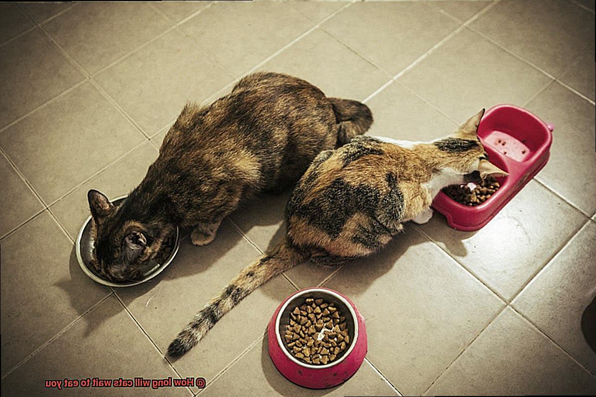 How long will cats wait to eat you-4