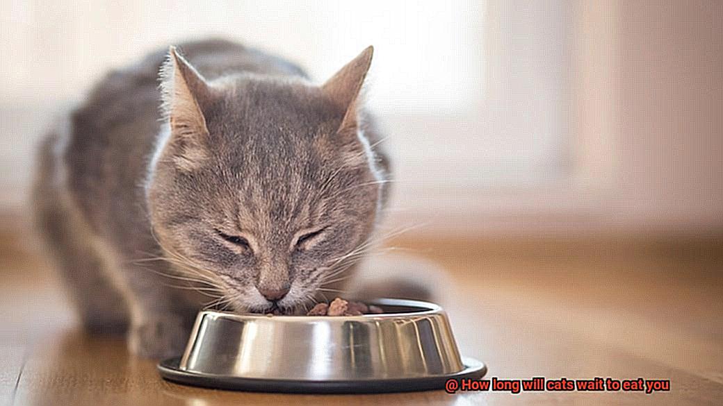 How long will cats wait to eat you-2