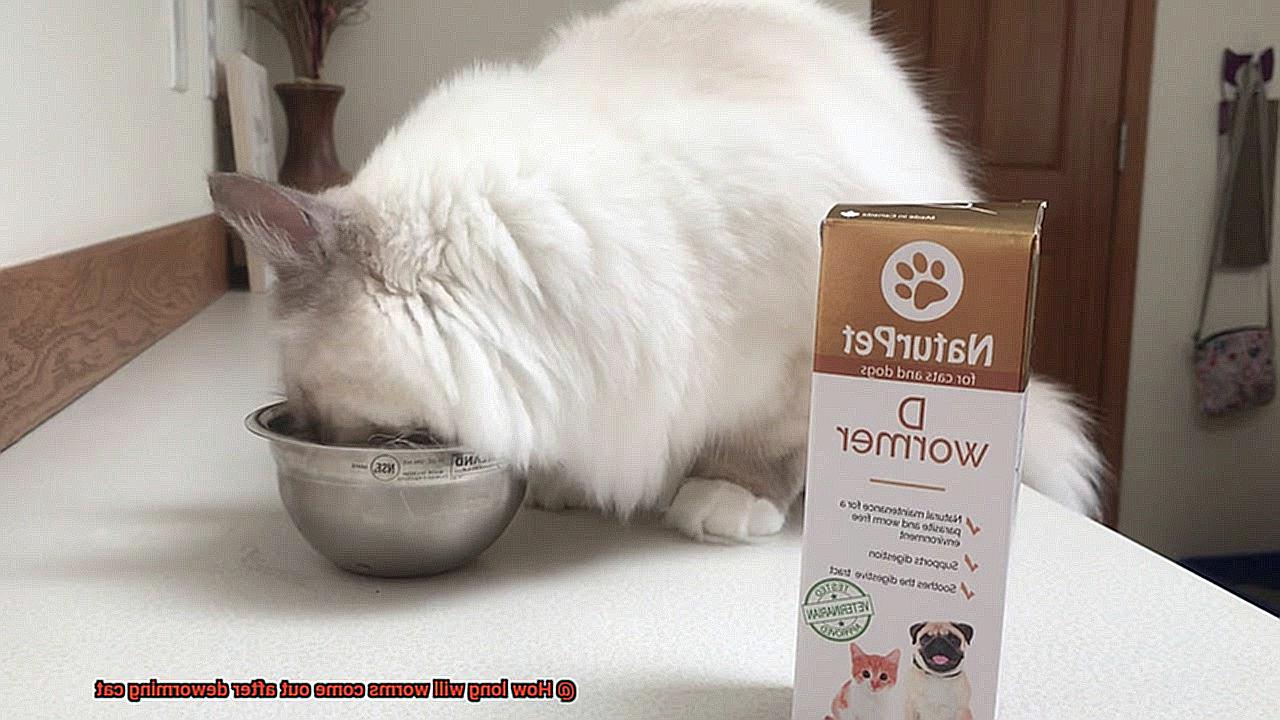 How long will worms come out after deworming cat-2