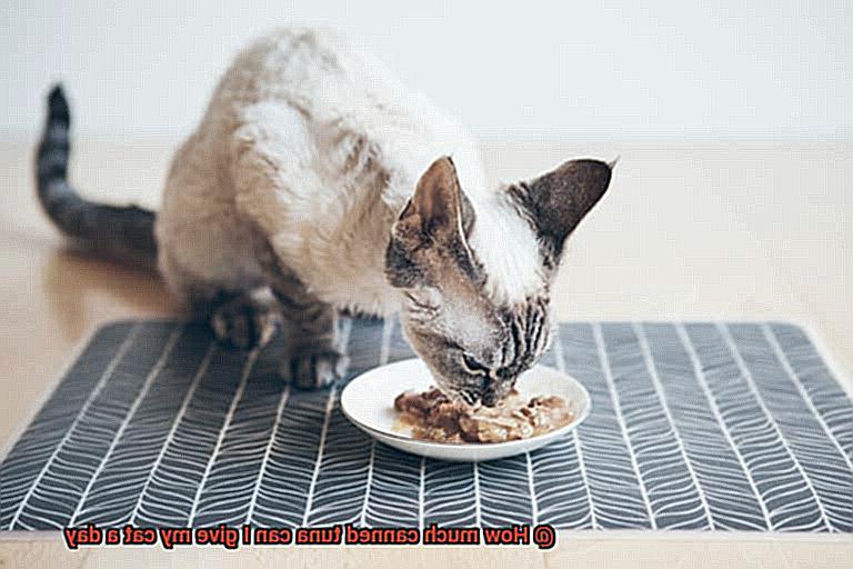 How much canned tuna can I give my cat a day-5