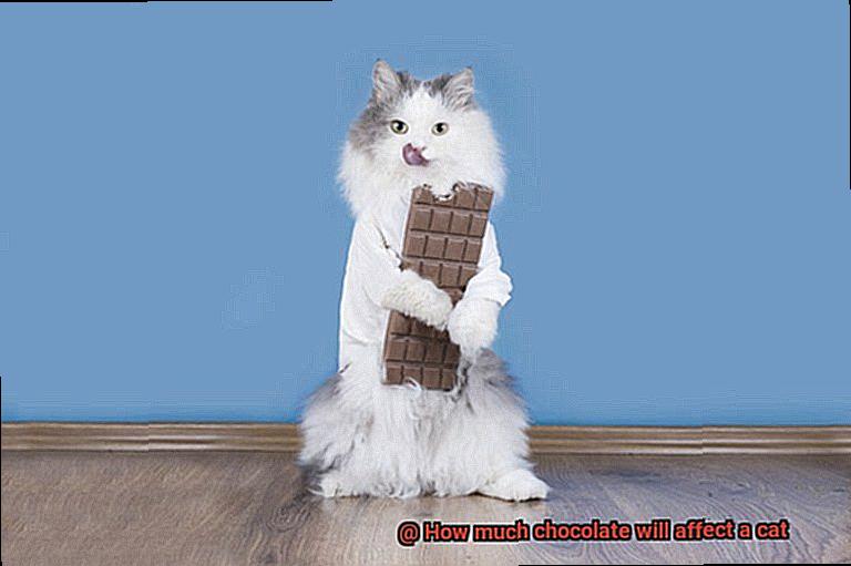 How much chocolate will affect a cat-7
