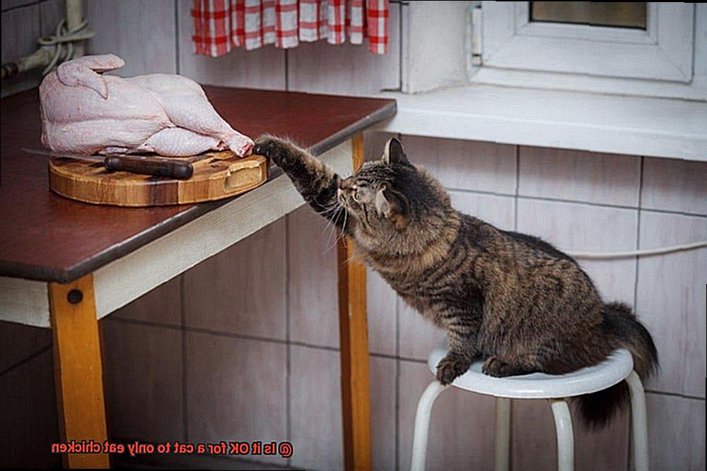 Is it OK for a cat to only eat chicken-5
