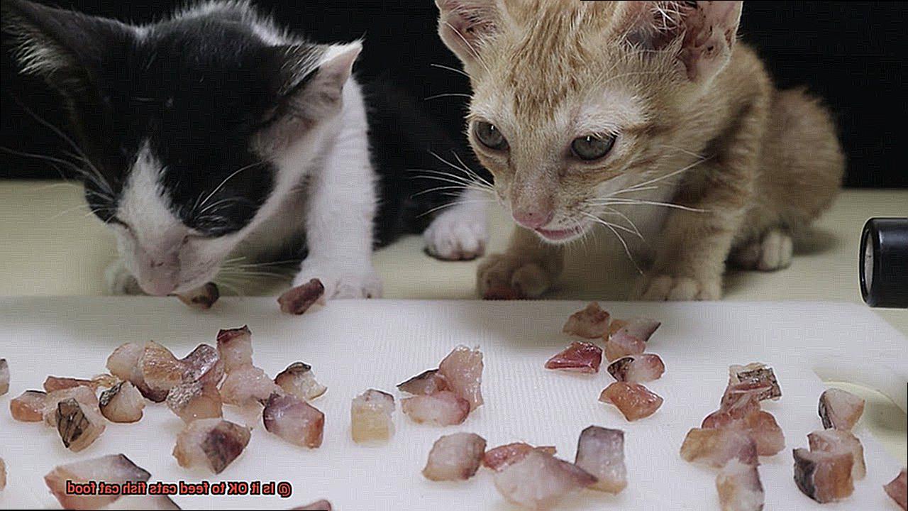 Is it OK to feed cats fish cat food-6
