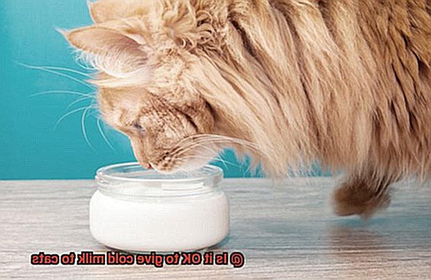 Is it OK to give cold milk to cats-3
