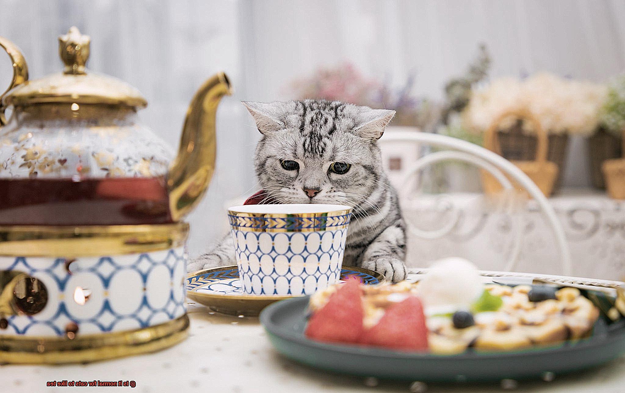 Is it normal for cats to like tea-8