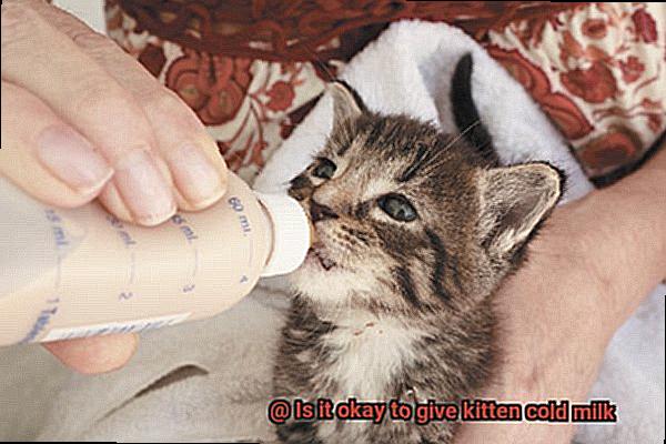 Is it okay to give kitten cold milk-5