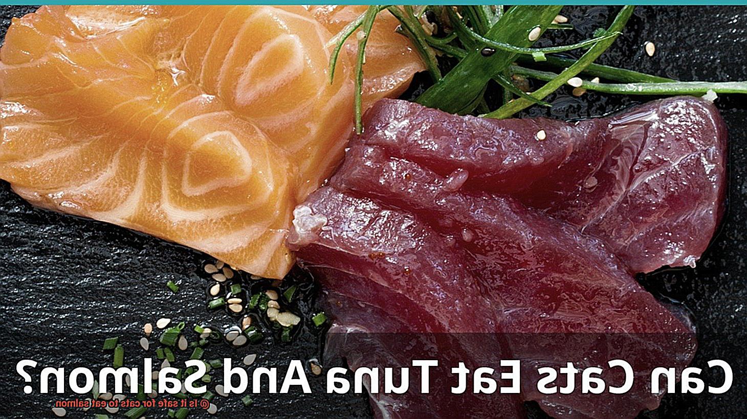 Is it safe for cats to eat salmon-4