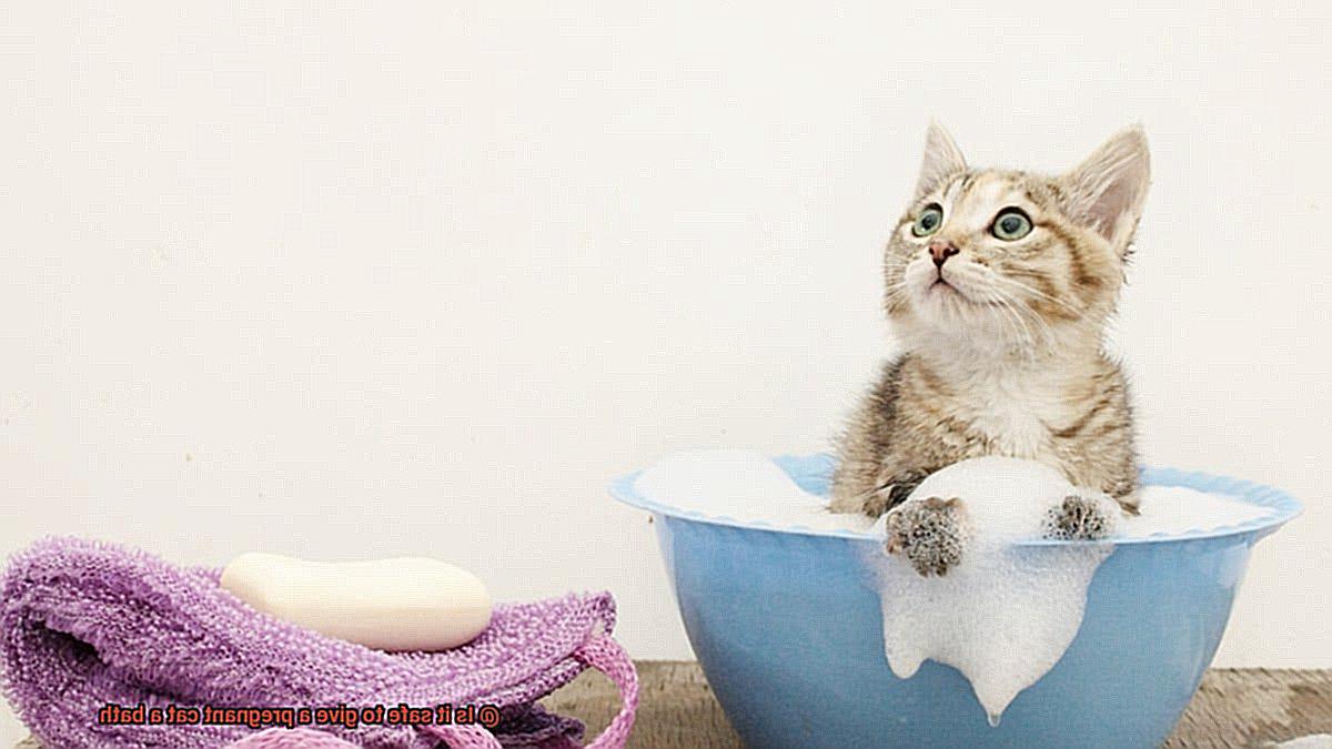 Is it safe to give a pregnant cat a bath-5