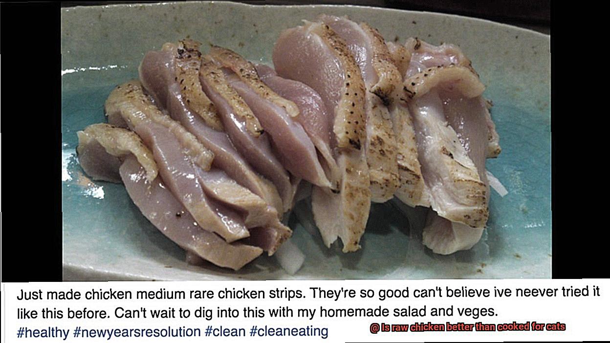 Is raw chicken better than cooked for cats-2