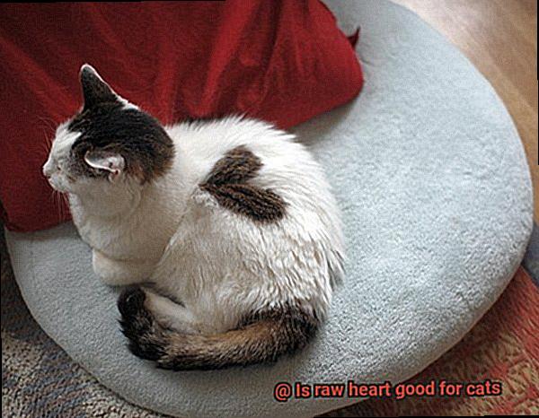 Is raw heart good for cats-3