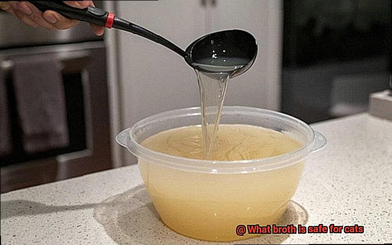 What broth is safe for cats-2