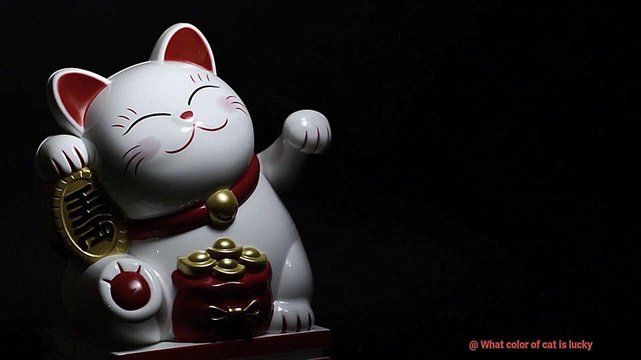 What color of cat is lucky-2