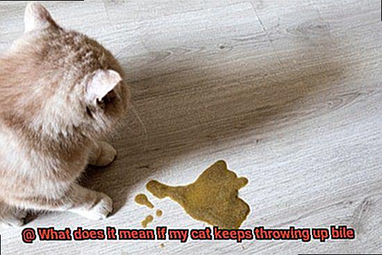What does it mean if my cat keeps throwing up bile-3