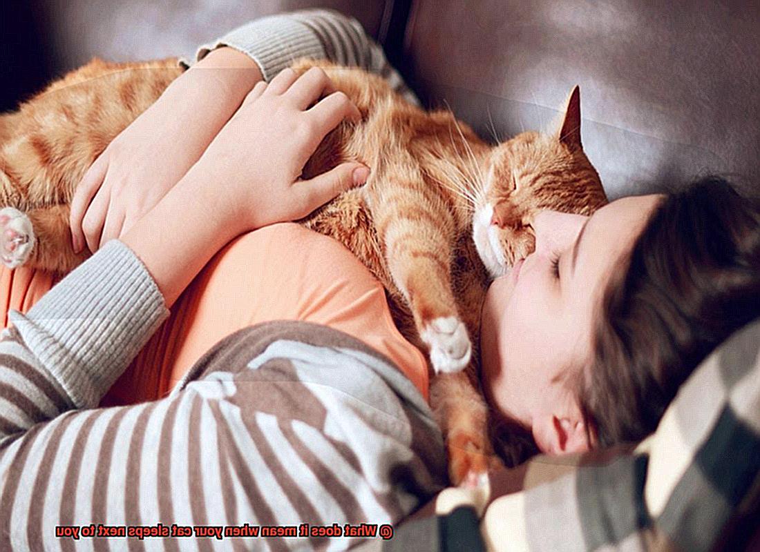 What does it mean when your cat sleeps next to you-5