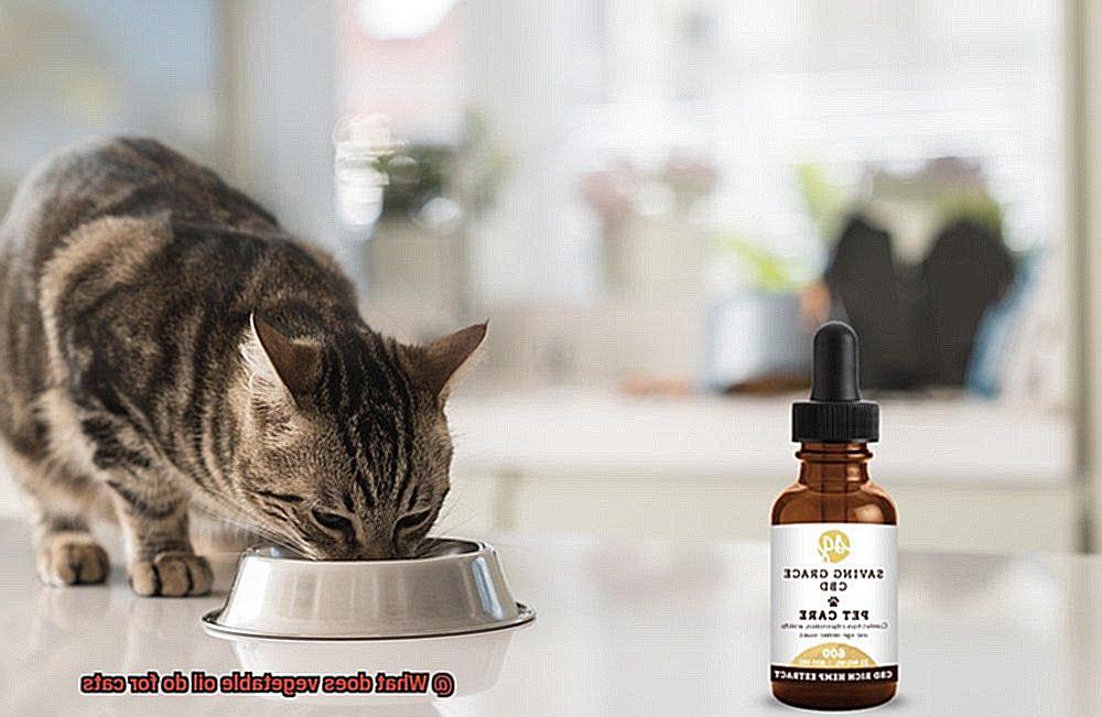 What does vegetable oil do for cats-3