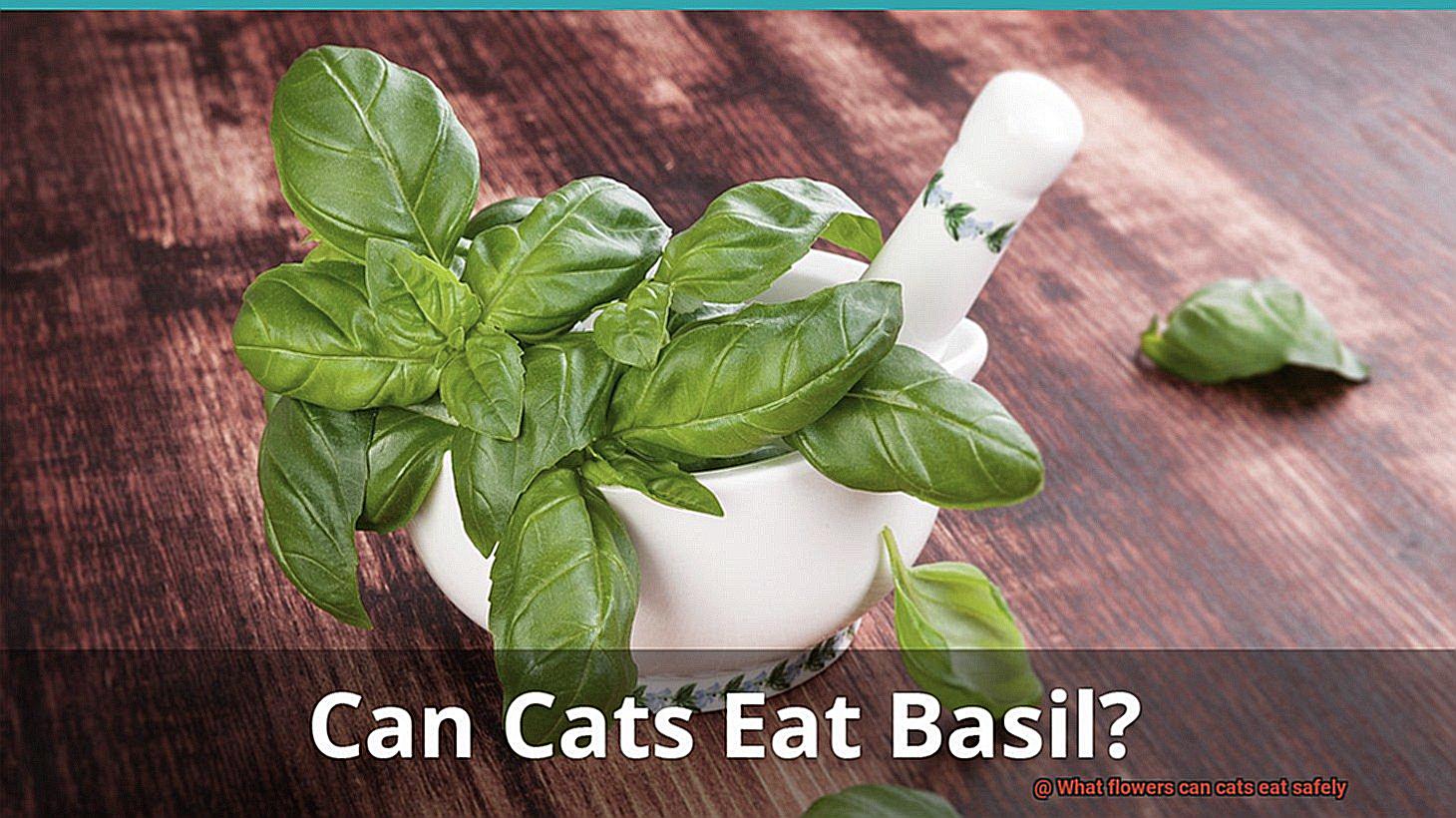 What flowers can cats eat safely-4
