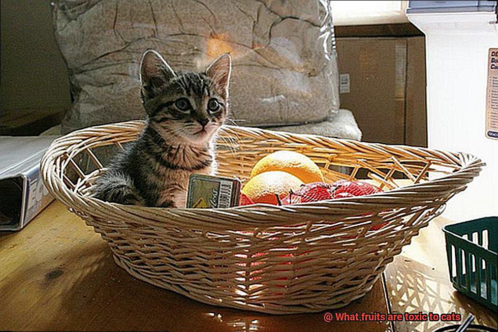 What fruits are toxic to cats-3