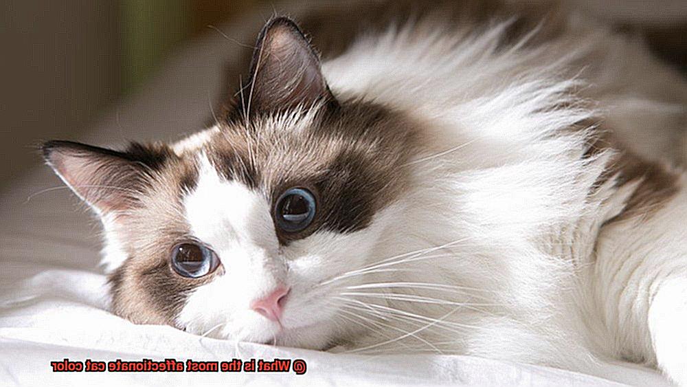 What is the most affectionate cat color-2