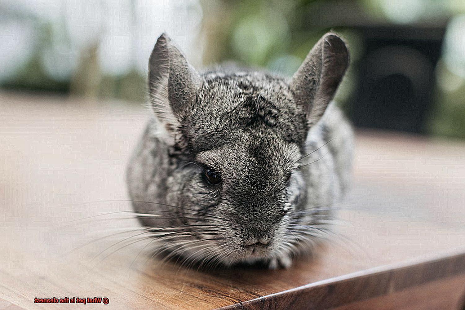 What pet is the cleanest-5